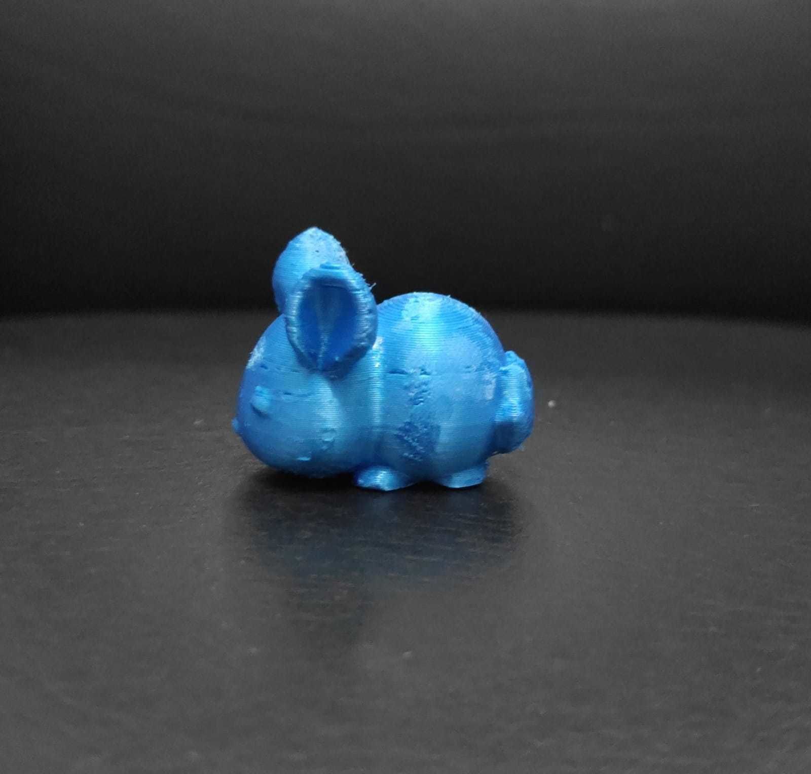 Cute Chinchilla 3D print model_6
