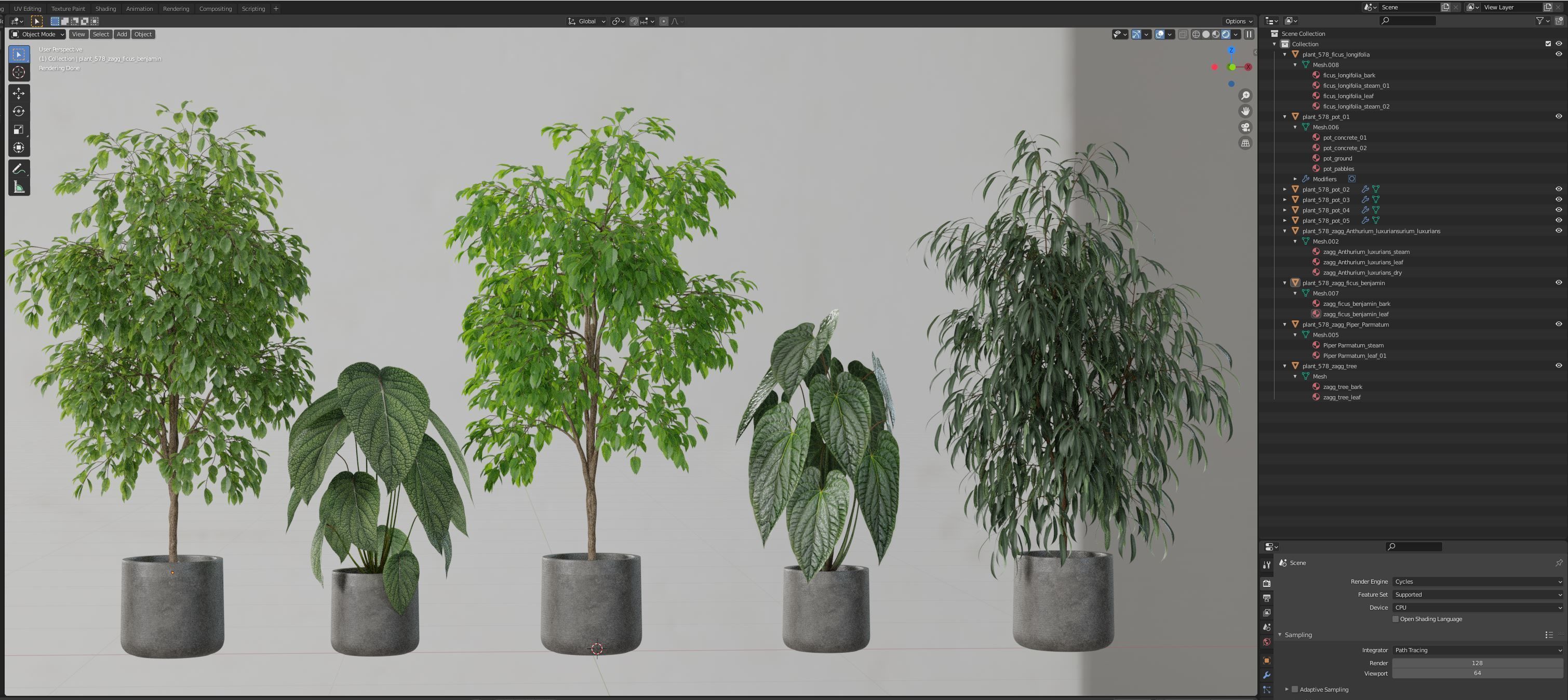 Plants collection 578 3D model_5