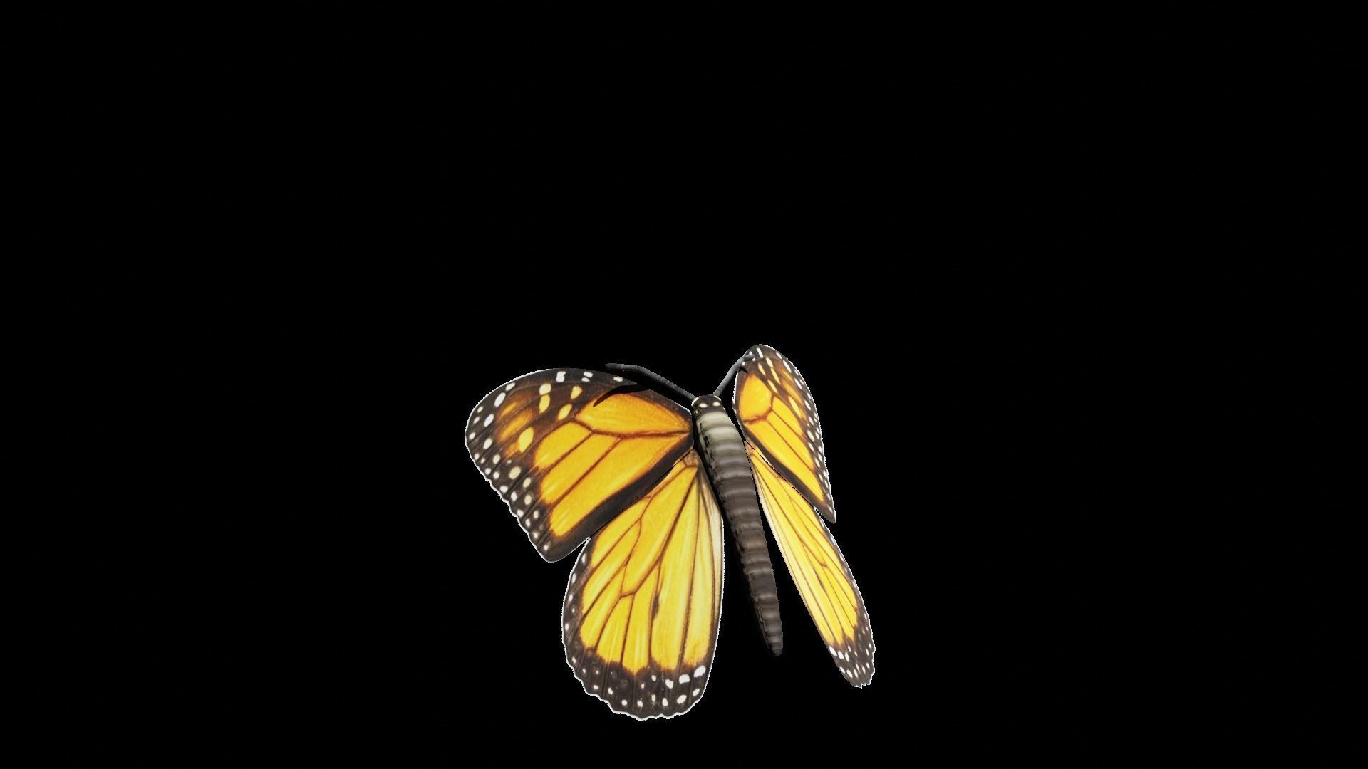 Butterfly fully rigged and animated Low-poly 3D model_6