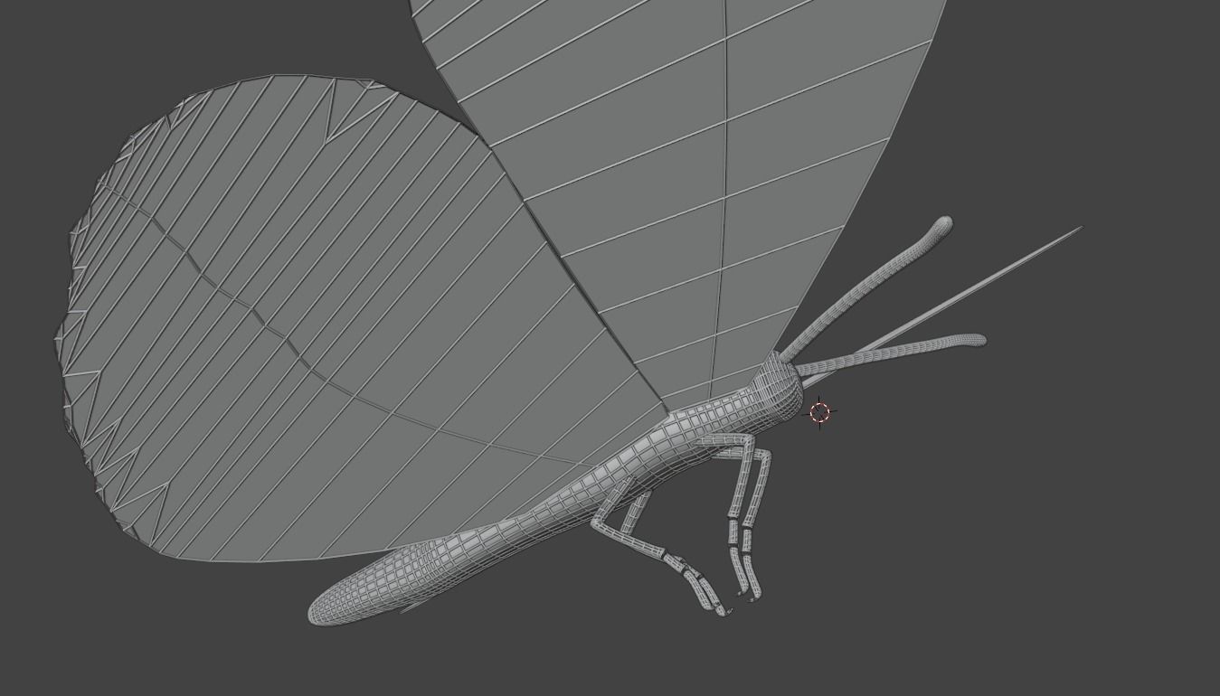 Butterfly fully rigged and animated Low-poly 3D model_9