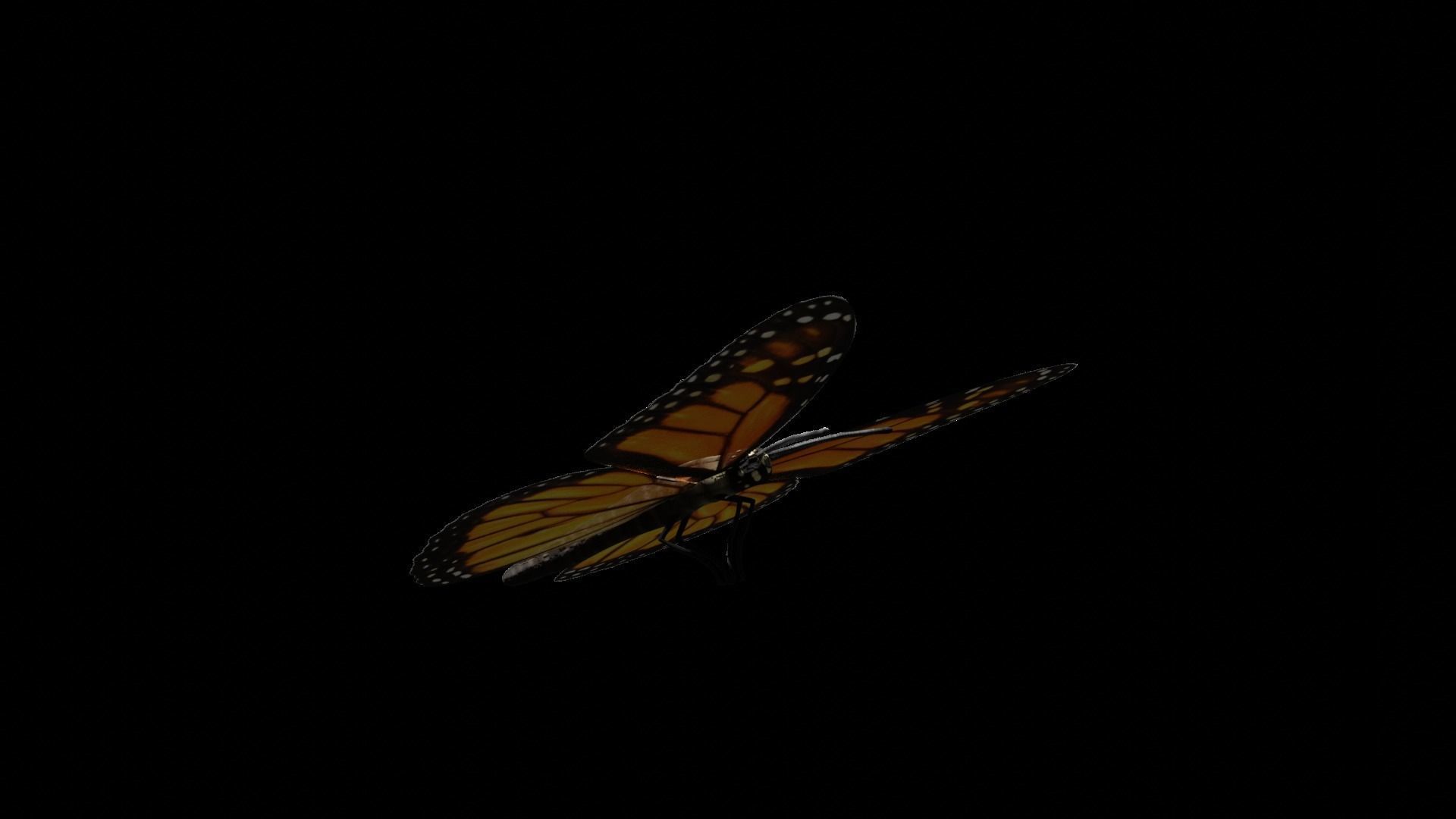 Butterfly fully rigged and animated Low-poly 3D model_7
