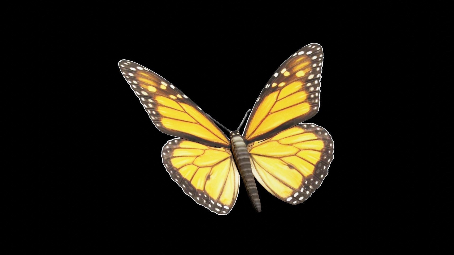 Butterfly fully rigged and animated Low-poly 3D model_4