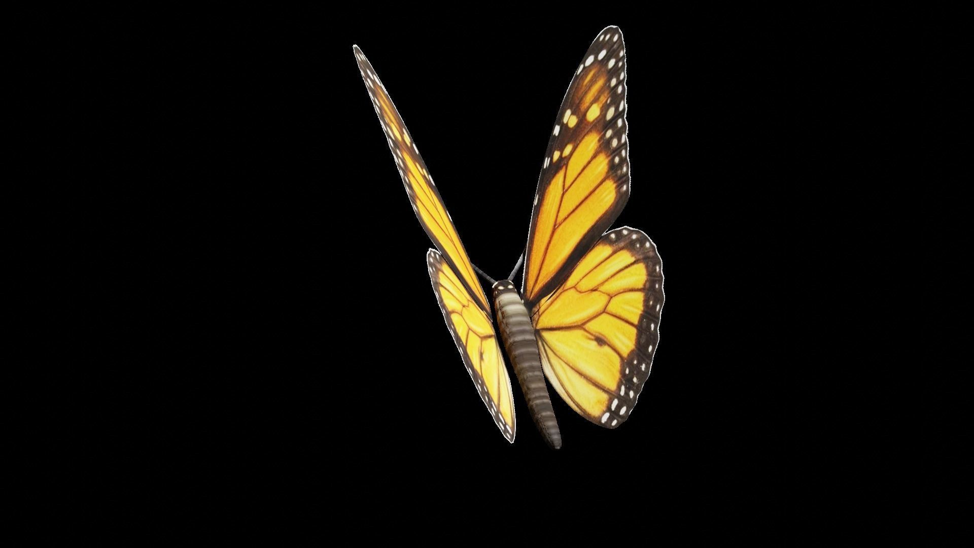 Butterfly fully rigged and animated Low-poly 3D model_2
