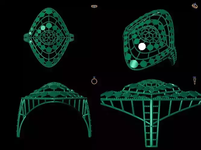 Ring 1 structure with different parts