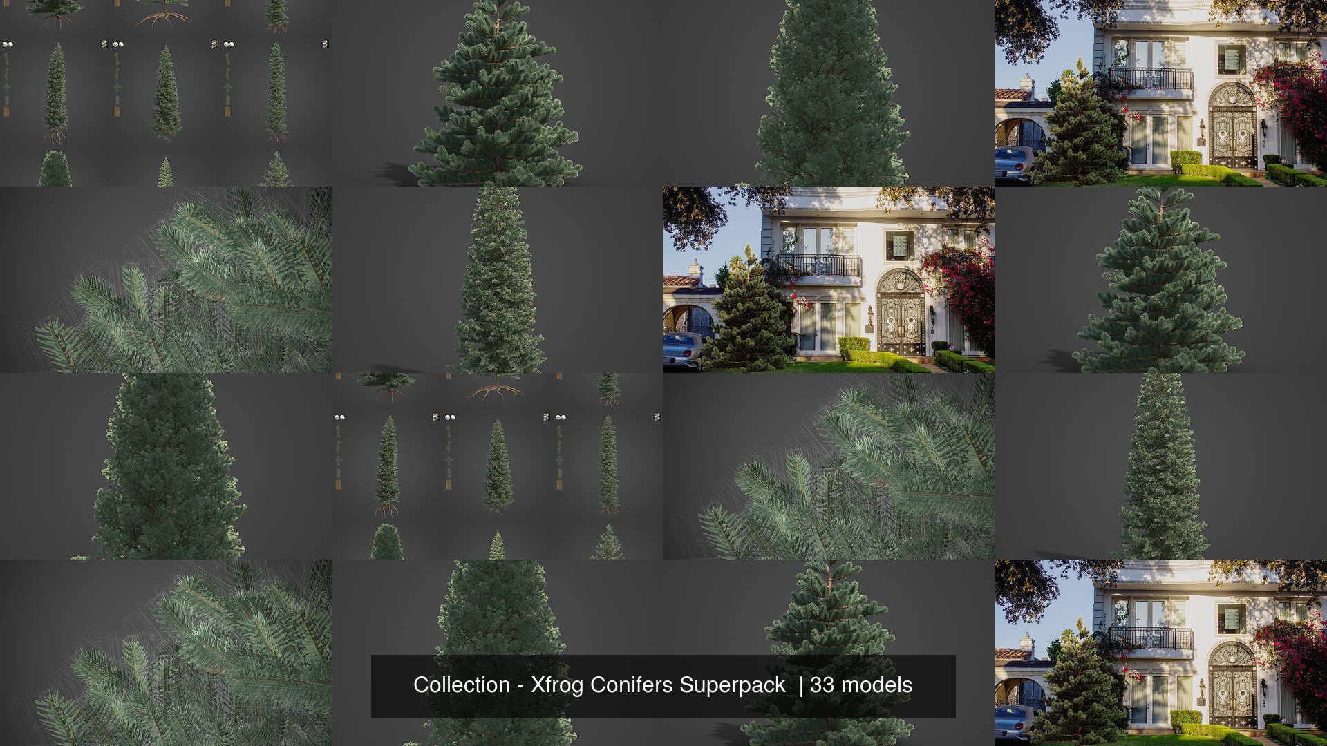 Collection - Xfrog Conifers Superpack  _8