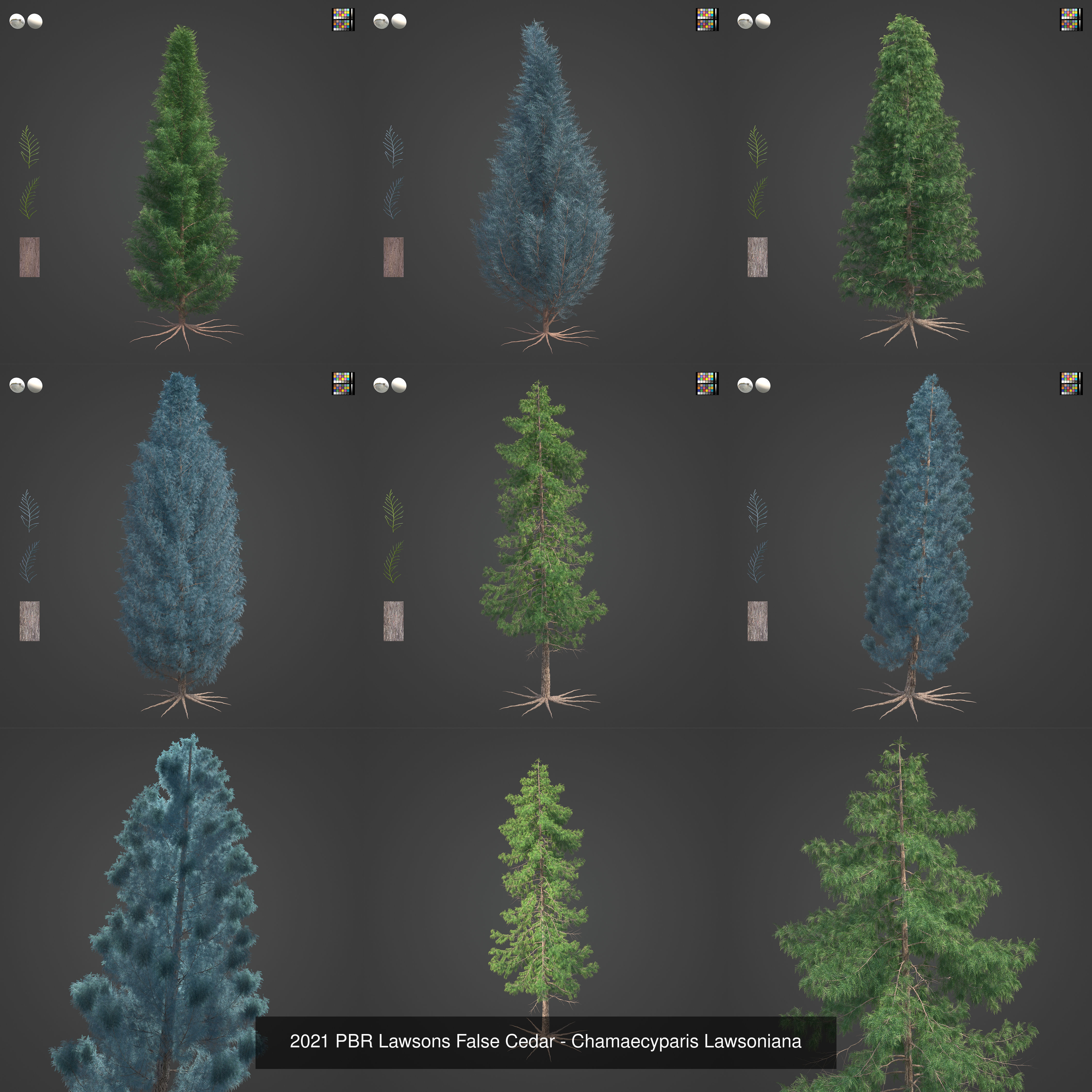 Collection - Xfrog Conifers Superpack  _49