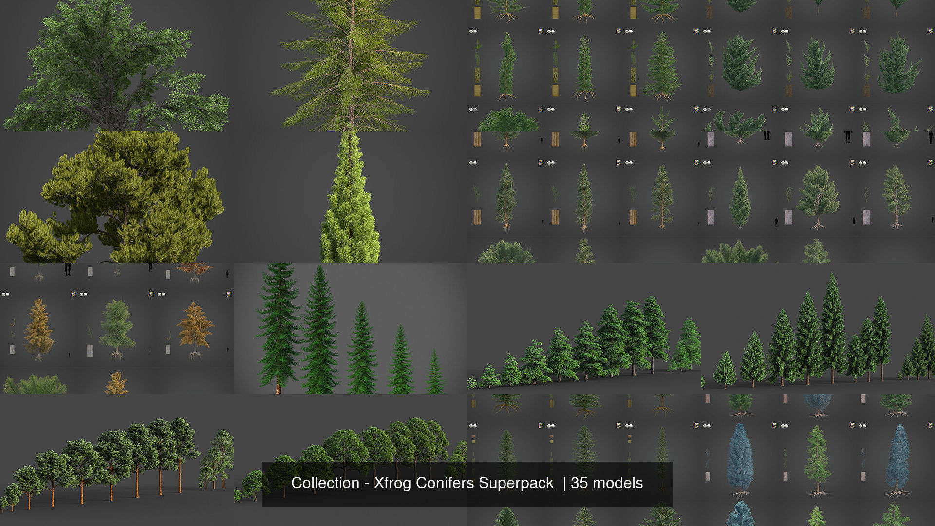 Collection - Xfrog Conifers Superpack  _11