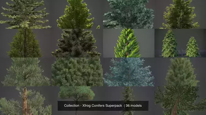 Collection - Xfrog Conifers Superpack  