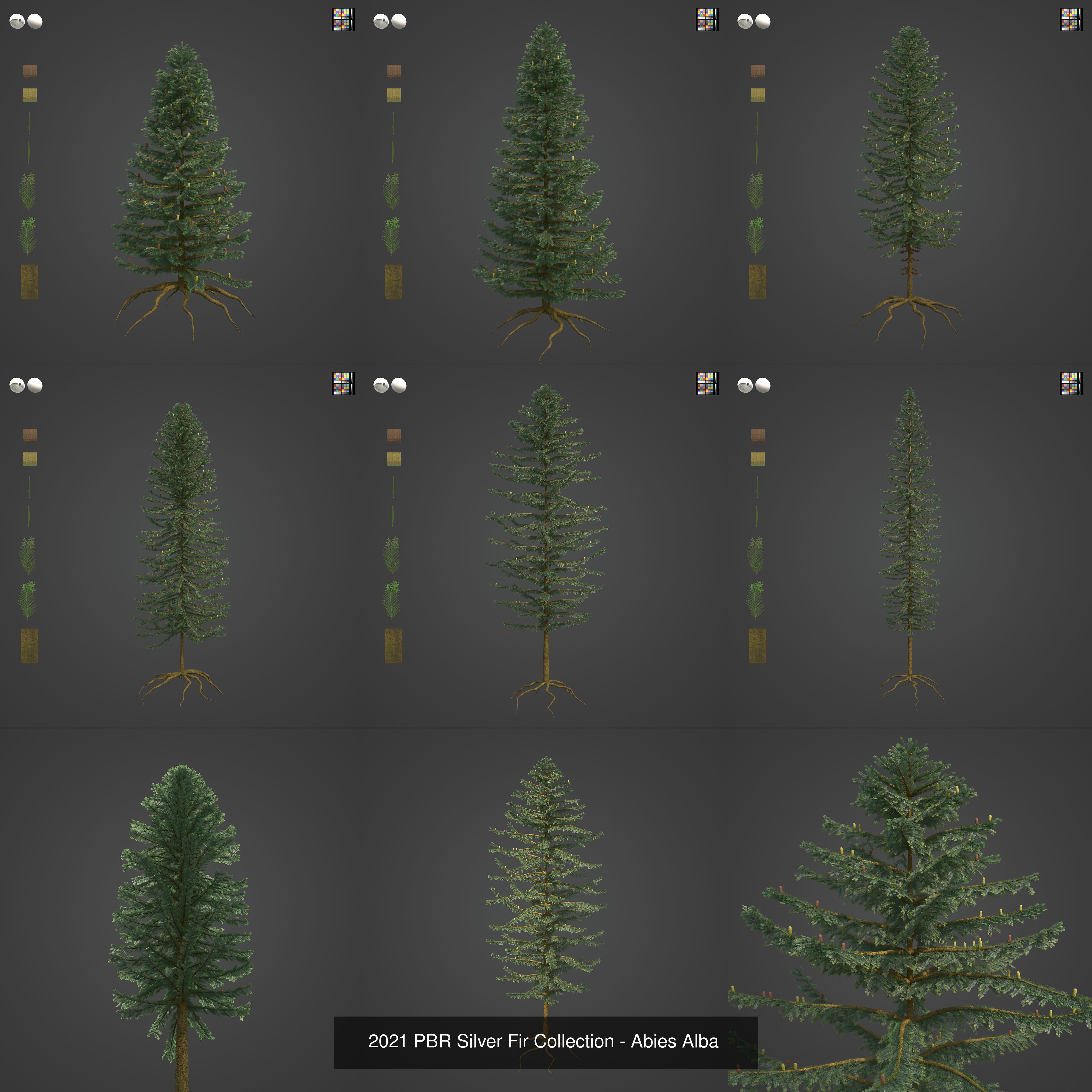 Collection - Xfrog Conifers Superpack  _48