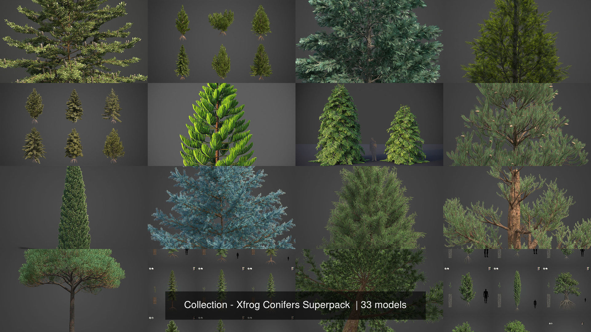 Collection - Xfrog Conifers Superpack  _9