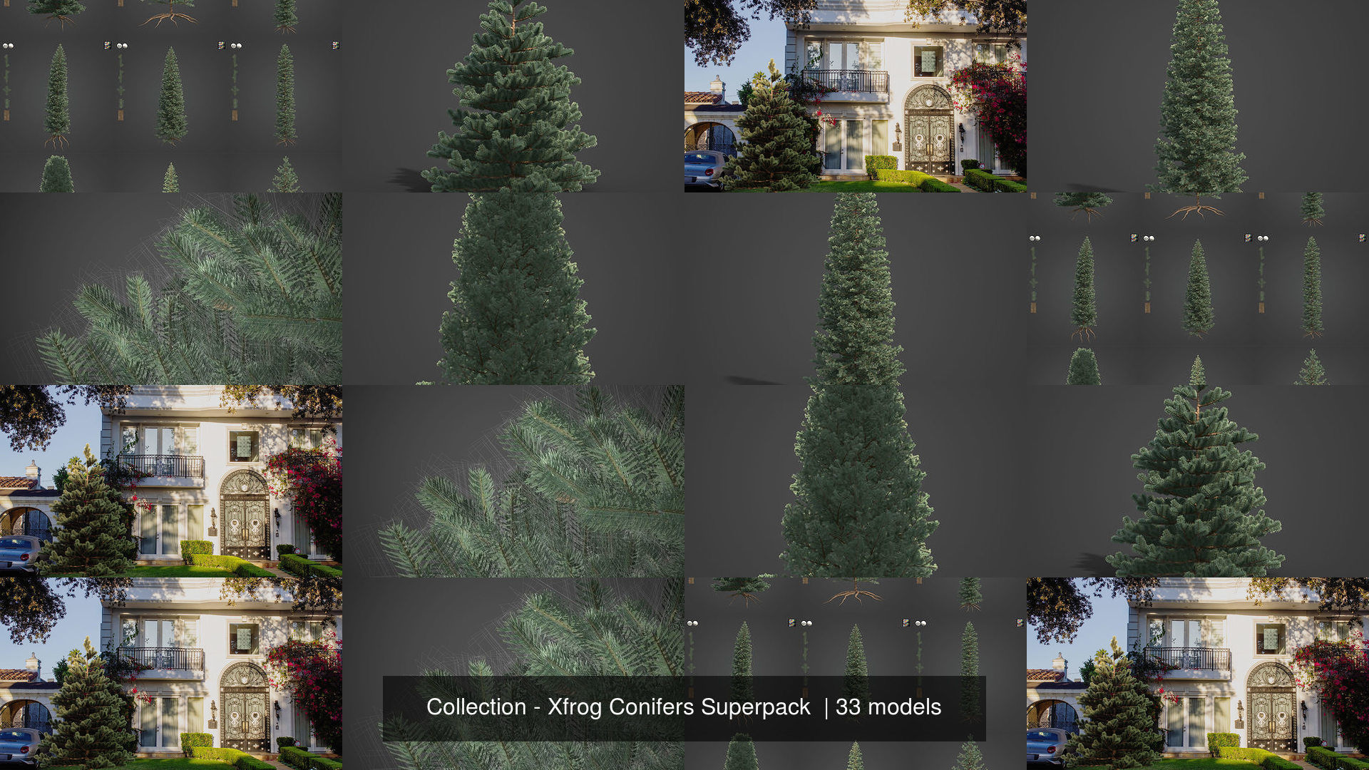 Collection - Xfrog Conifers Superpack  _18