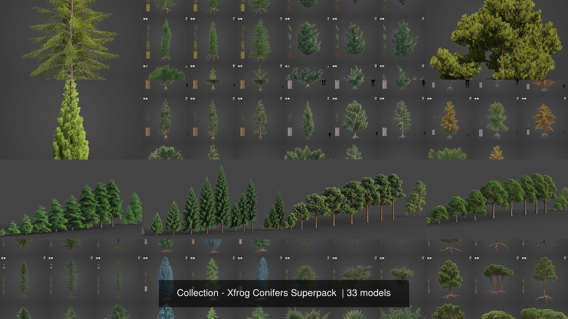 Collection - Xfrog Conifers Superpack  _13
