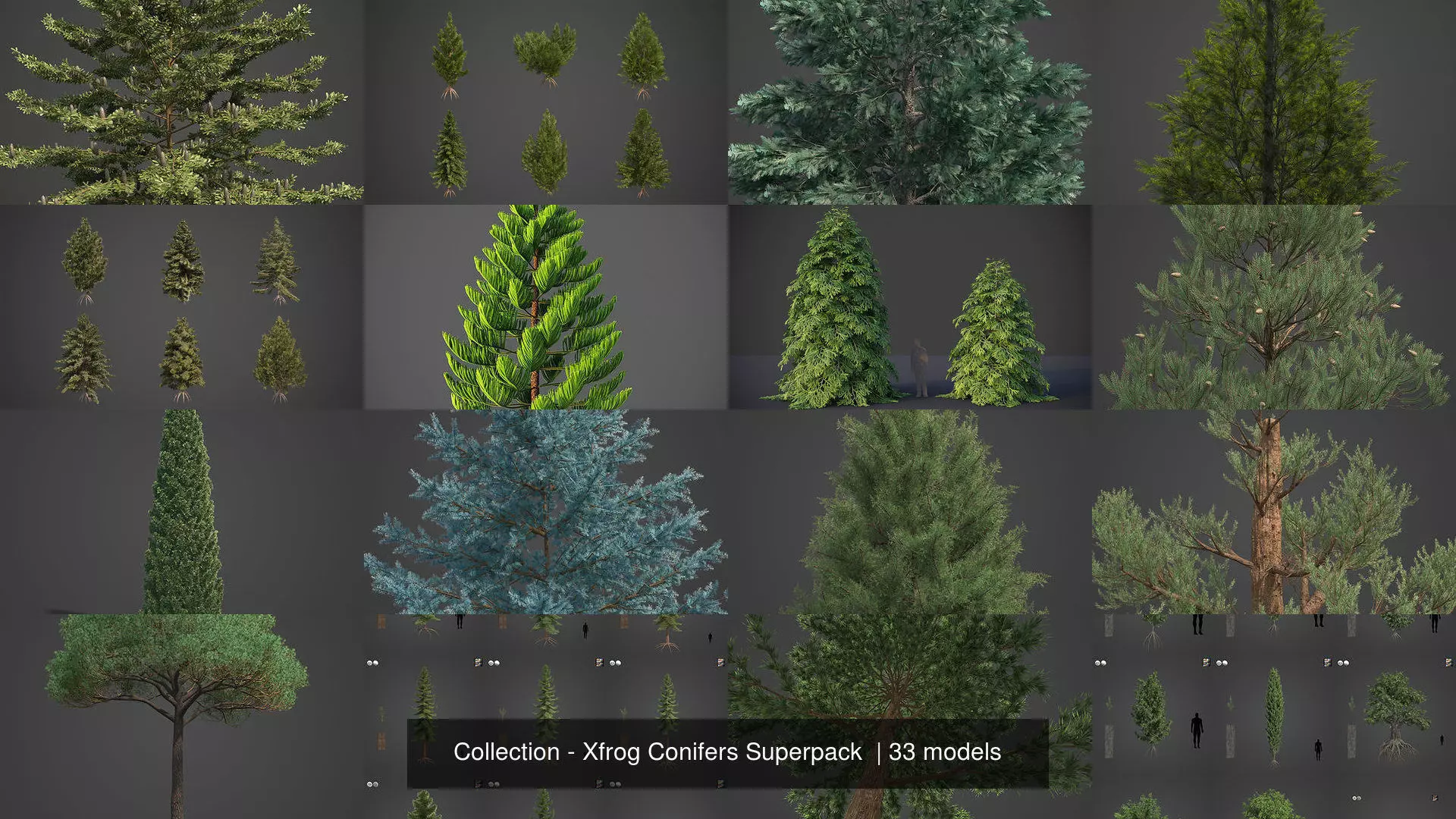 Collection - Xfrog Conifers Superpack  _4