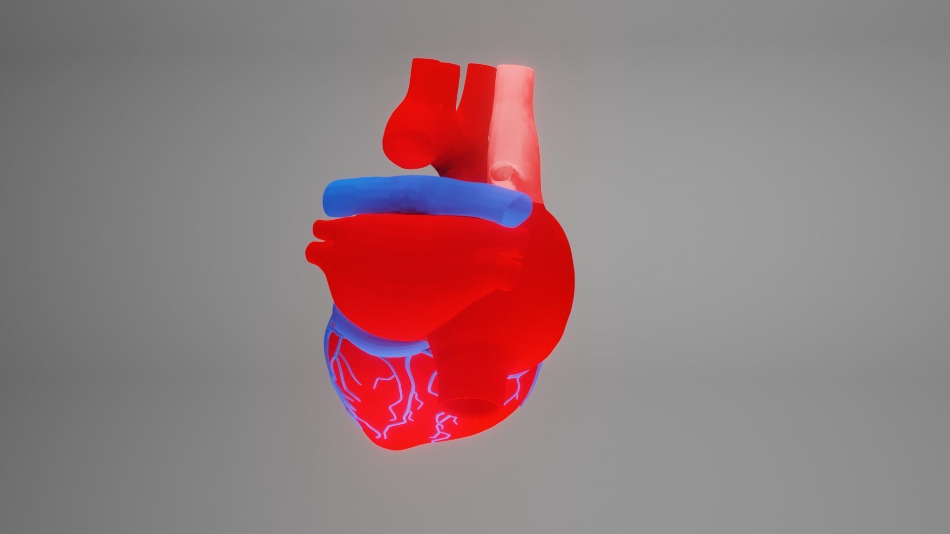 heart beating Low-poly 3D model_4