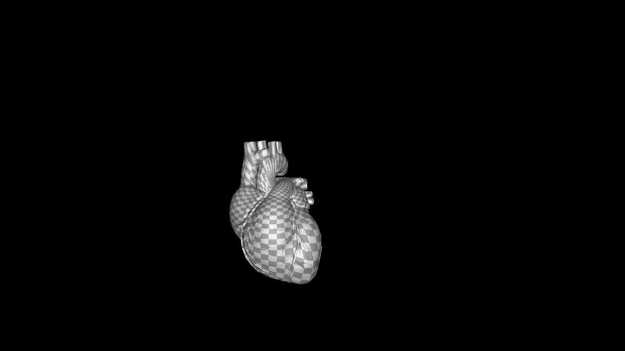 heart beating Low-poly 3D model_8