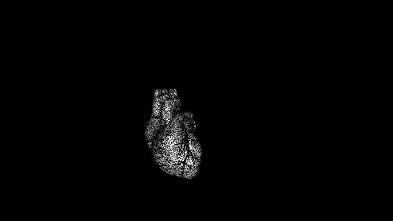 heart beating Low-poly 3D model_15