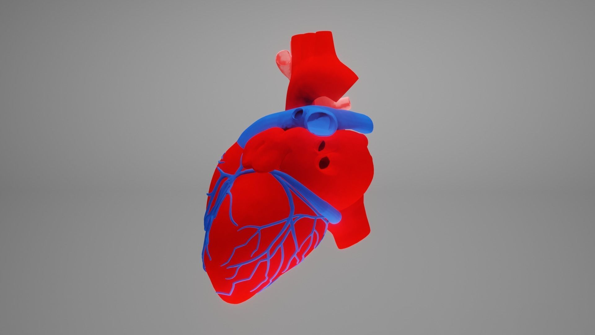 heart beating Low-poly 3D model_20