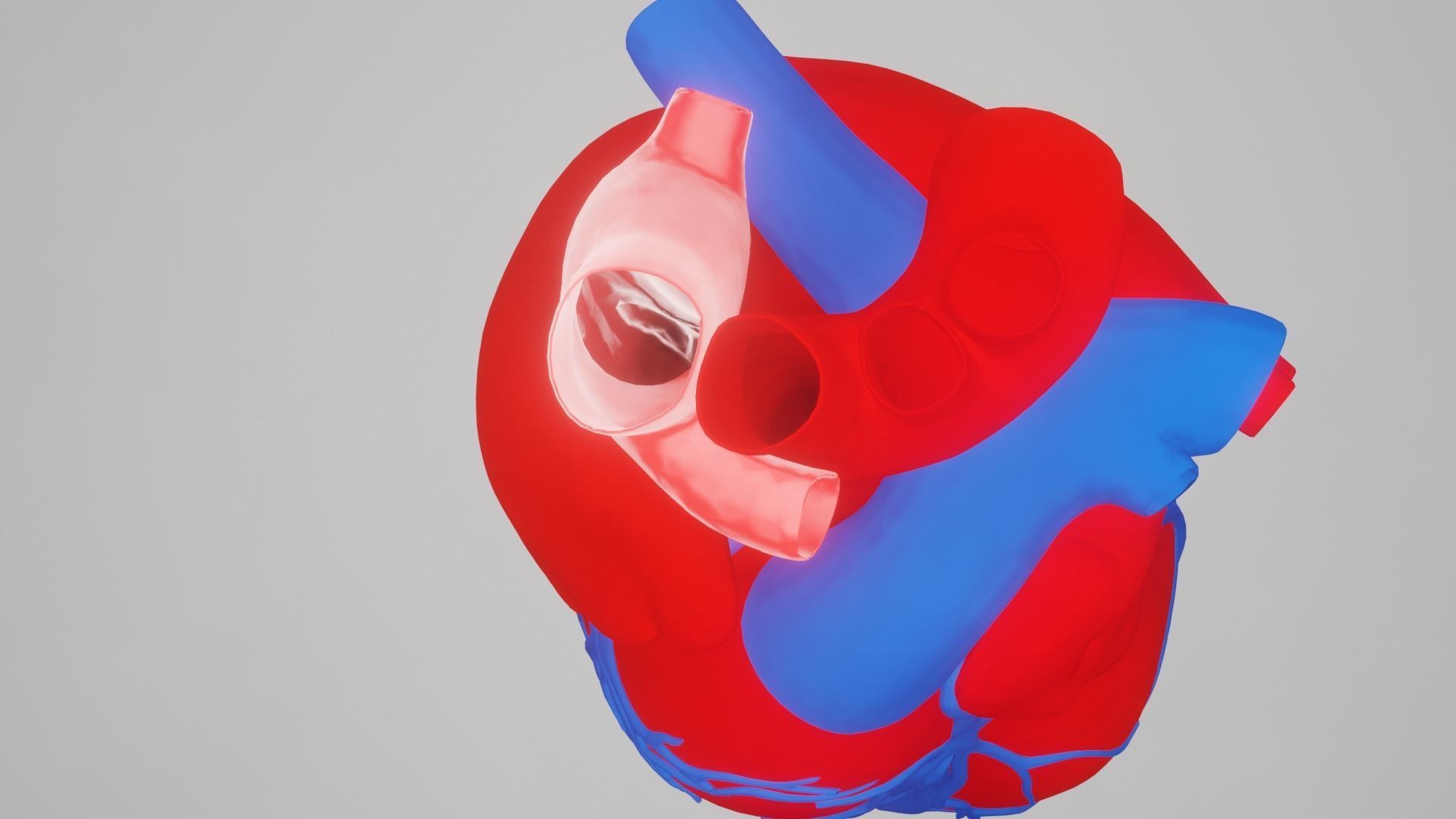 heart beating Low-poly 3D model_7
