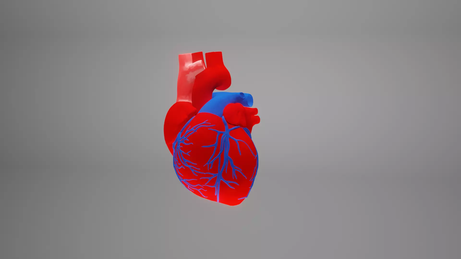 heart beating Low-poly 3D model_0