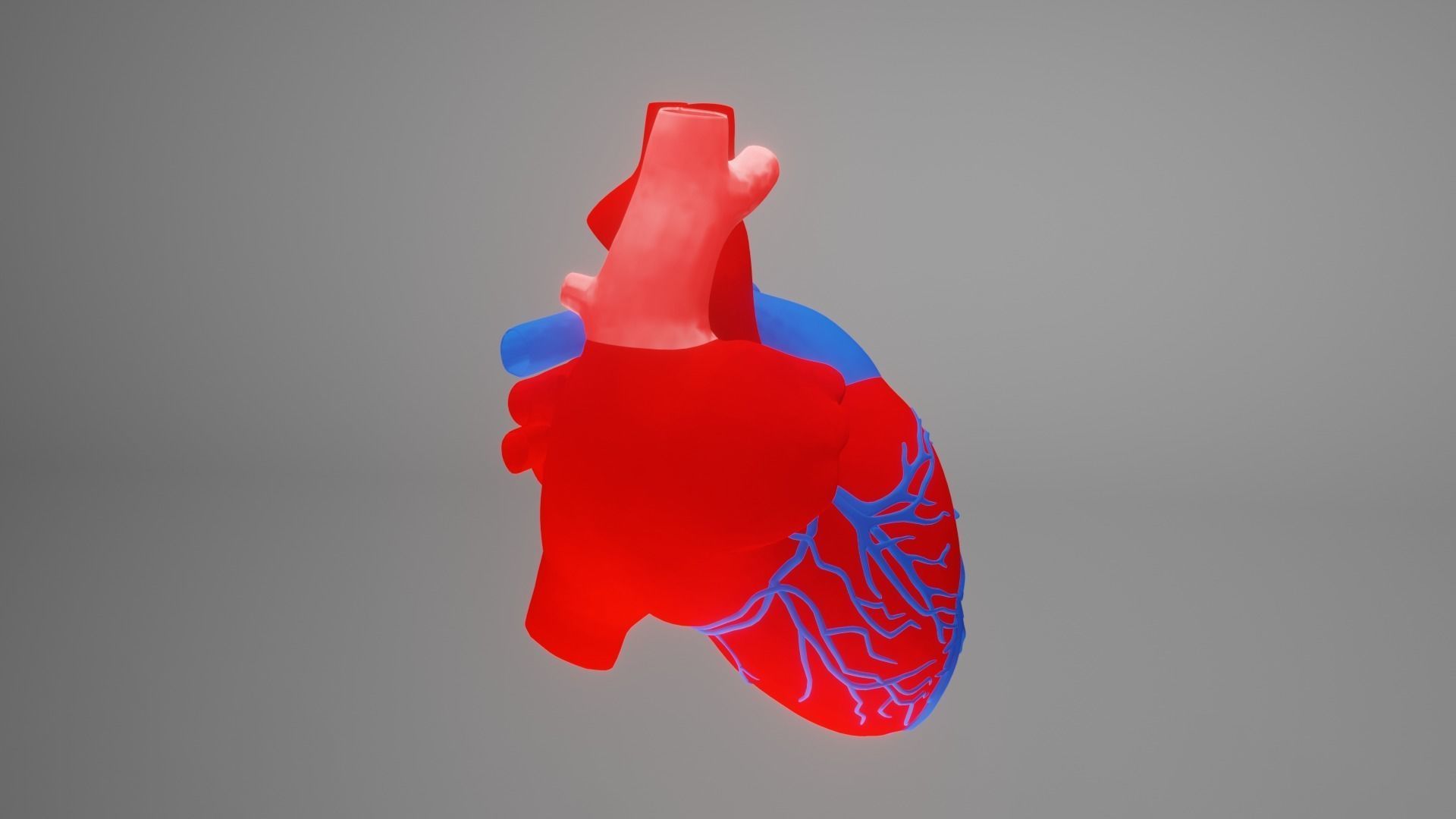 heart beating Low-poly 3D model_12