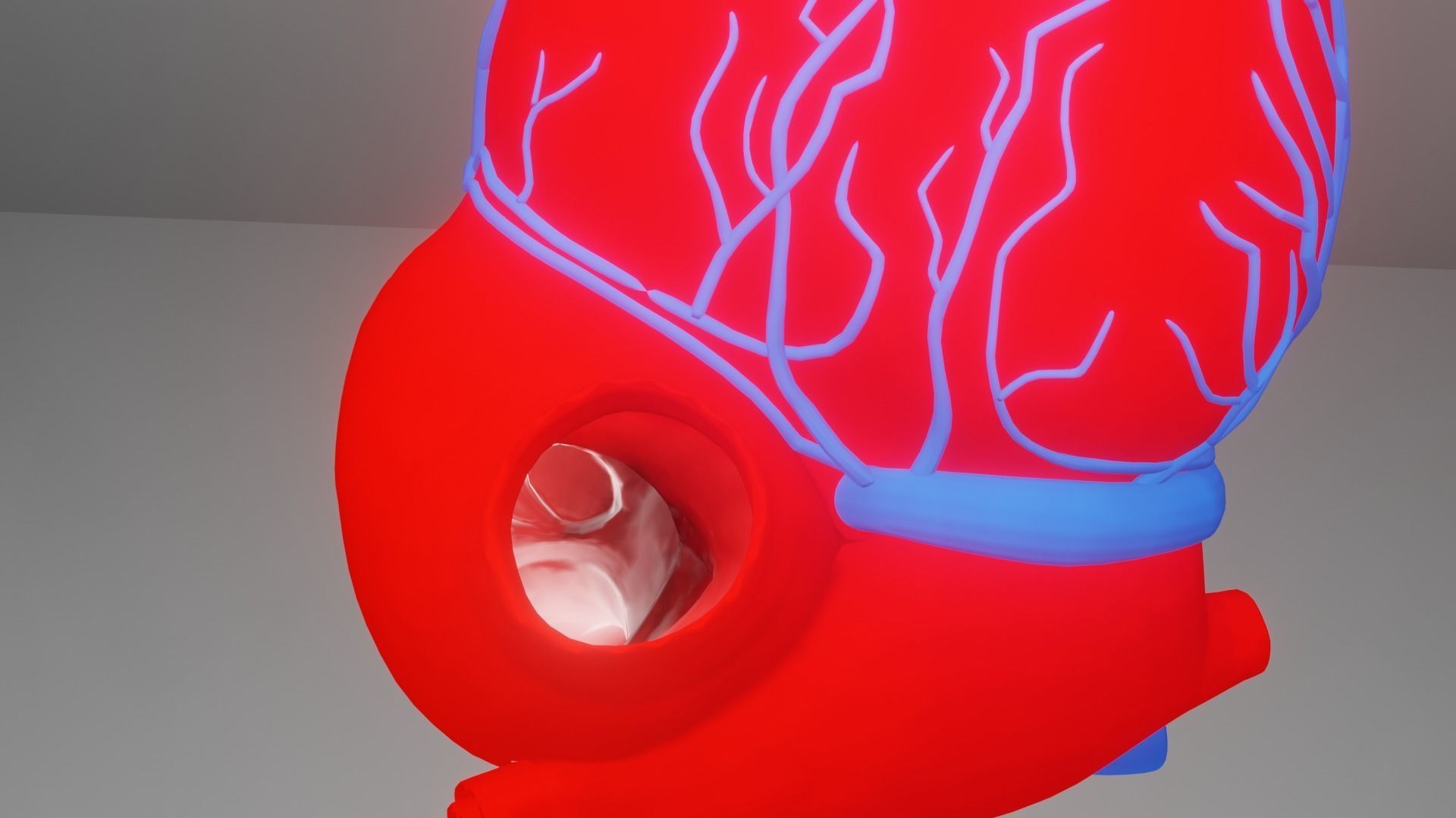 heart beating Low-poly 3D model_13