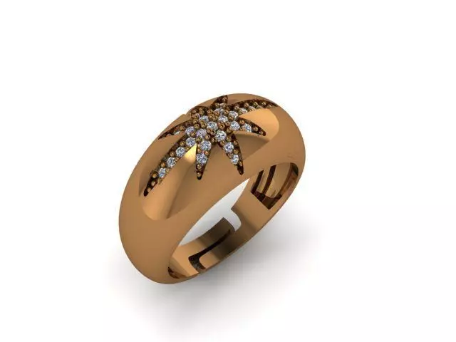 Star Free Size Rings 3D print model