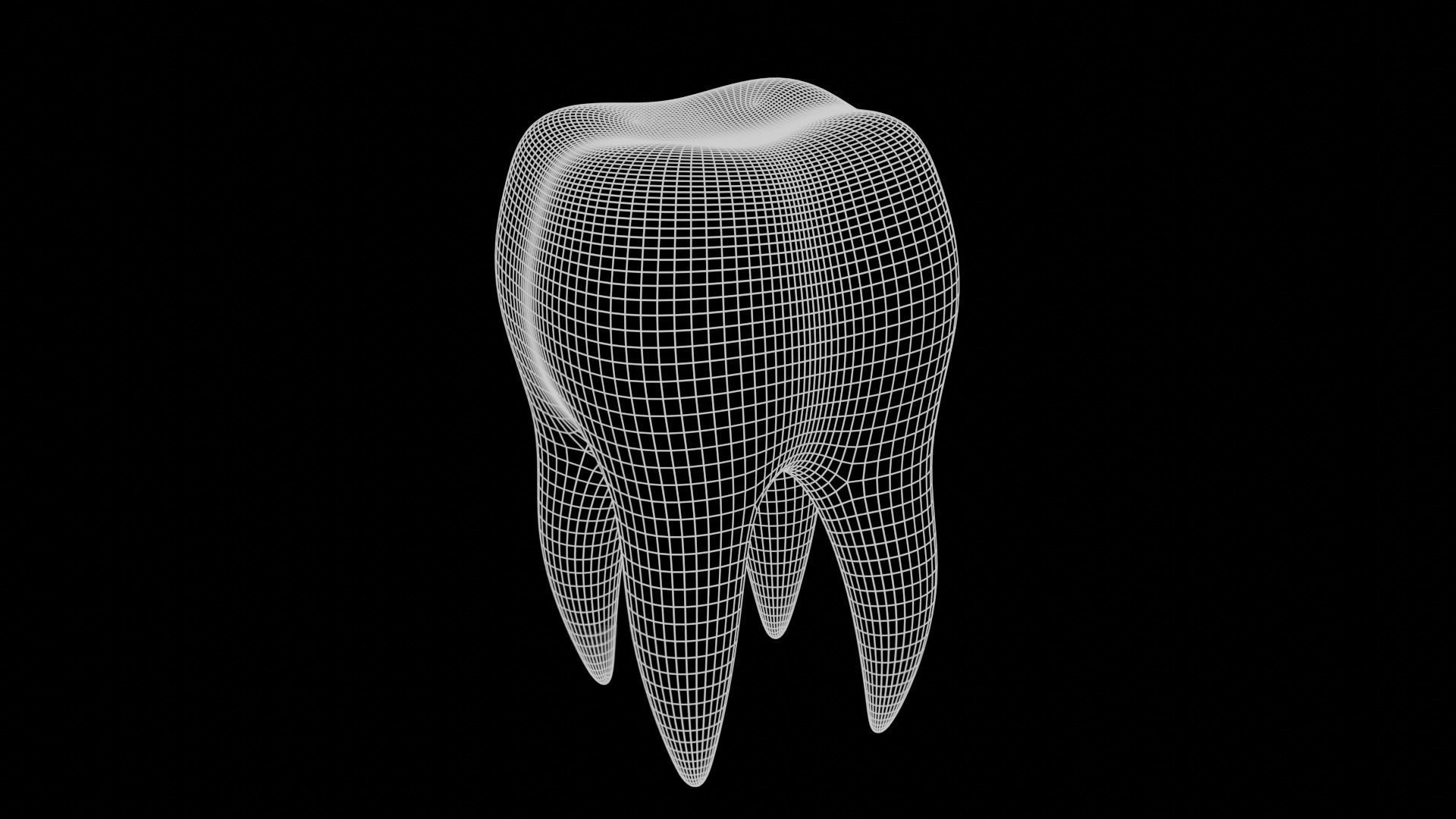 Tooth Cartoon semi-realistic Low-poly 3D model_4