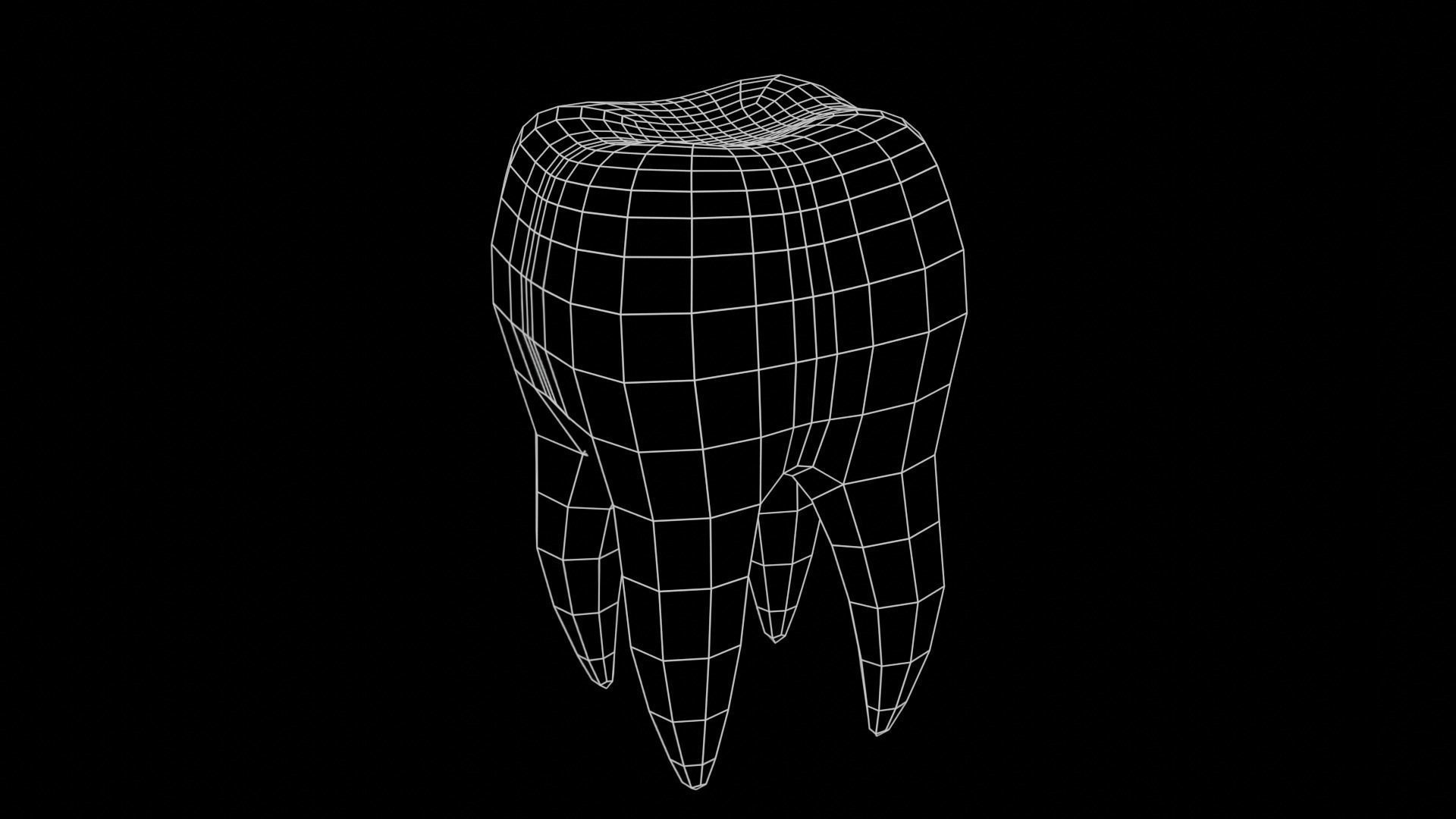 Tooth Cartoon semi-realistic Low-poly 3D model_13