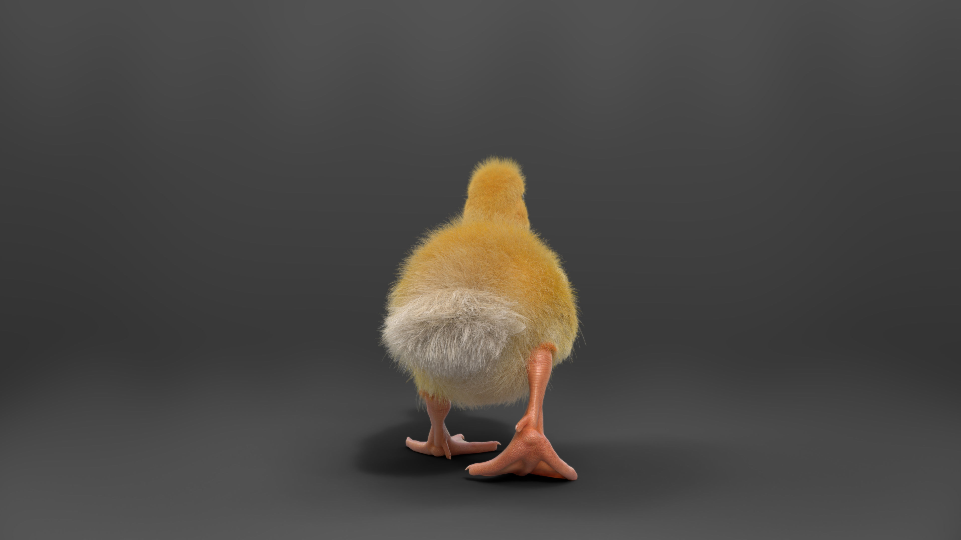 Duckling Animated VFX Grace 3D model_9