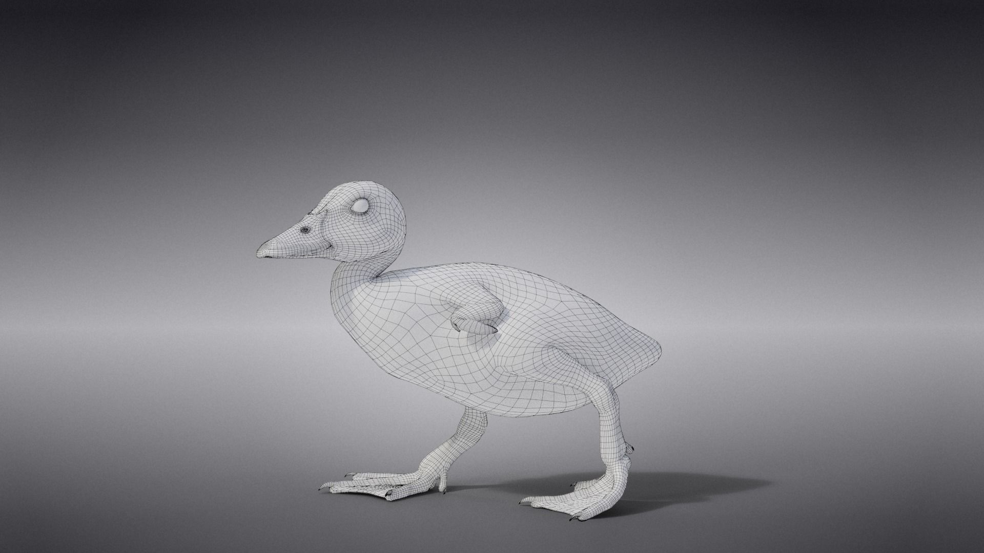 Duckling Animated VFX Grace 3D model_13