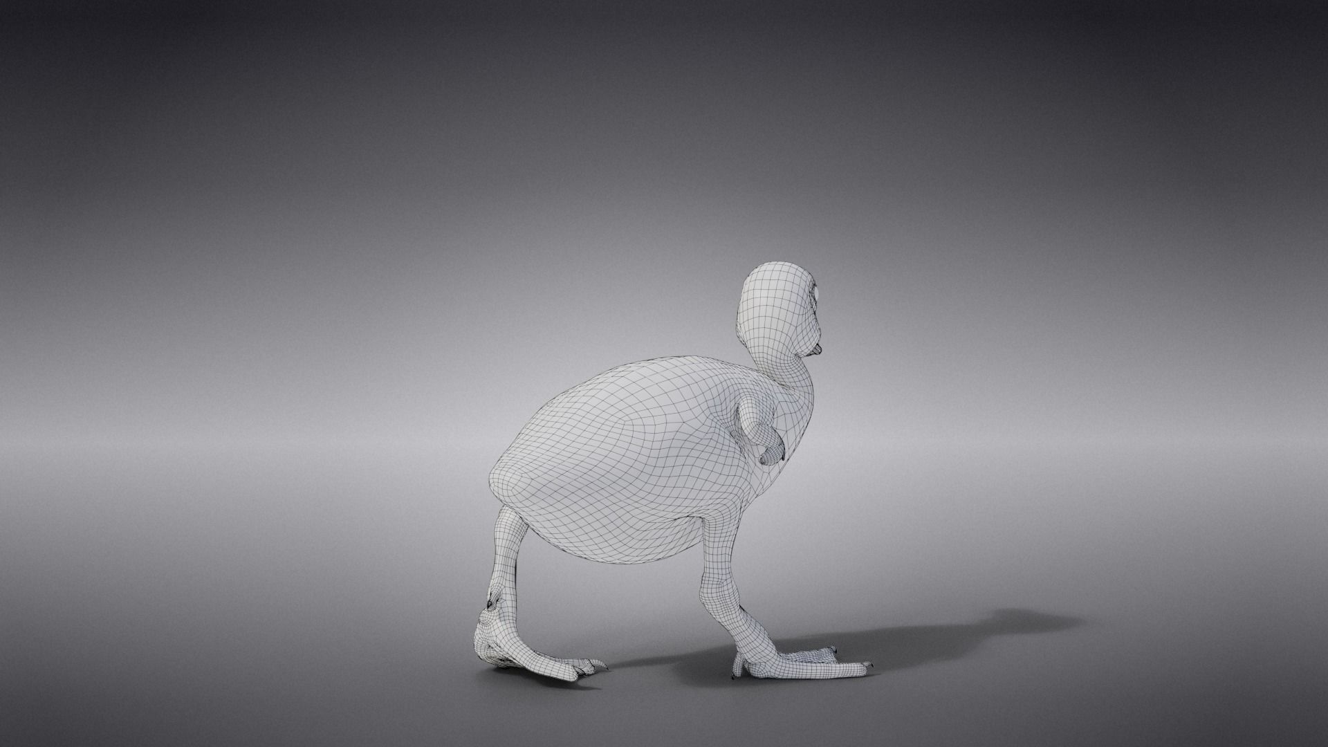 Duckling Animated VFX Grace 3D model_14