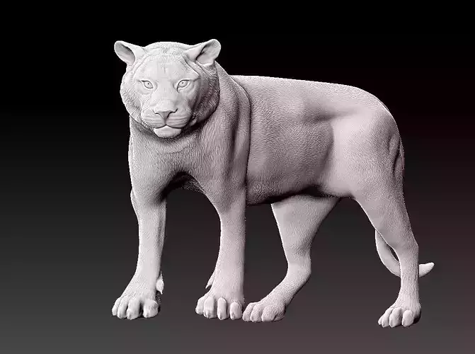 Tiger sculpture 3D print model 