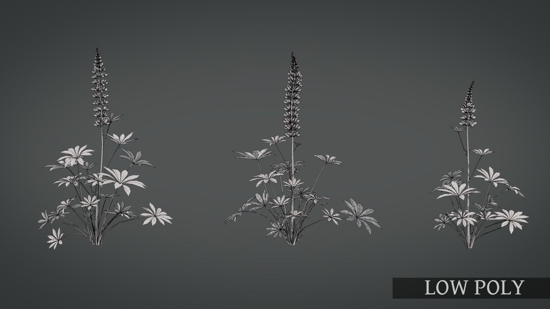 Lupine VFX Grace Low-poly 3D model_11