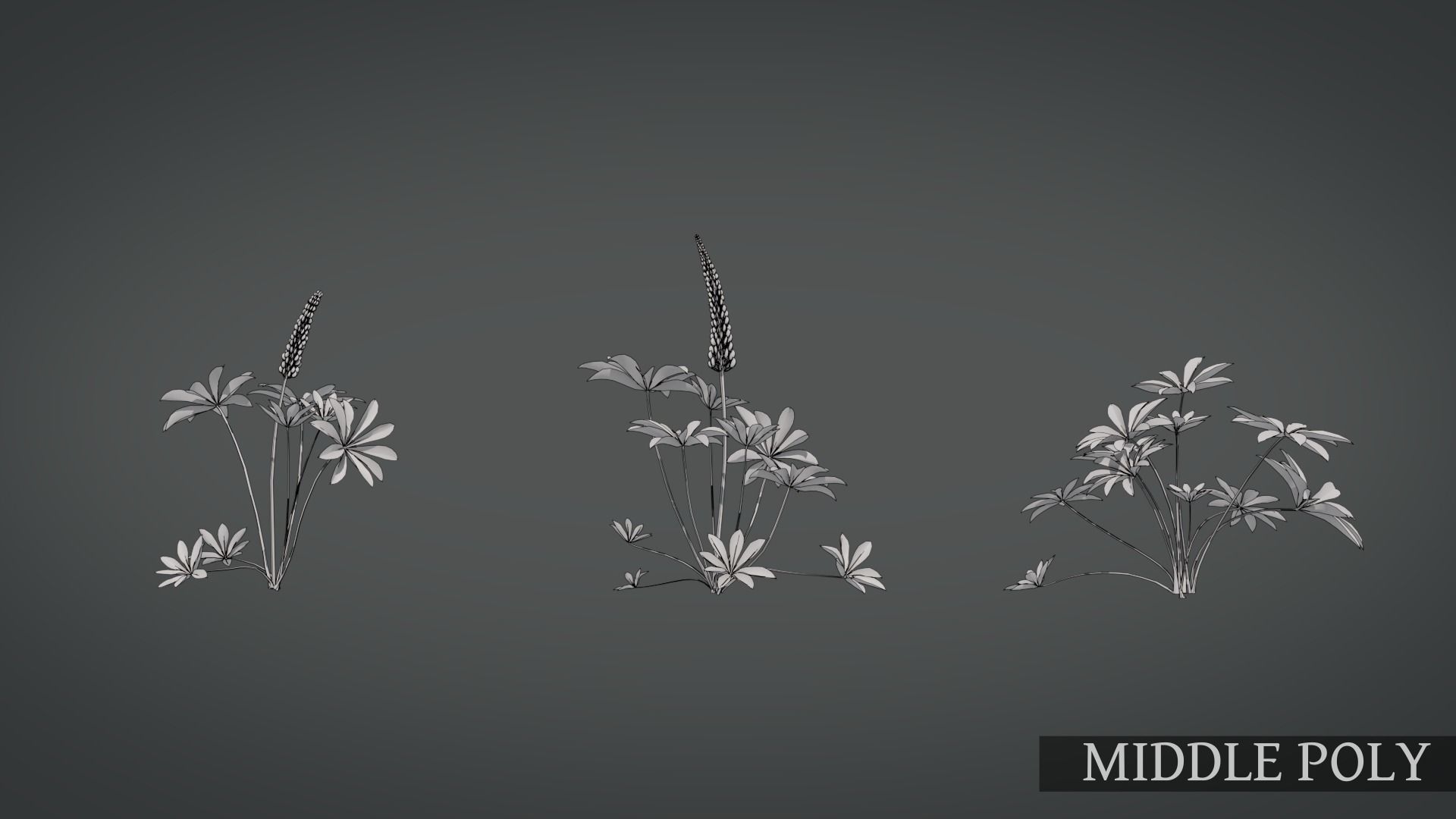 Lupine VFX Grace Low-poly 3D model_17