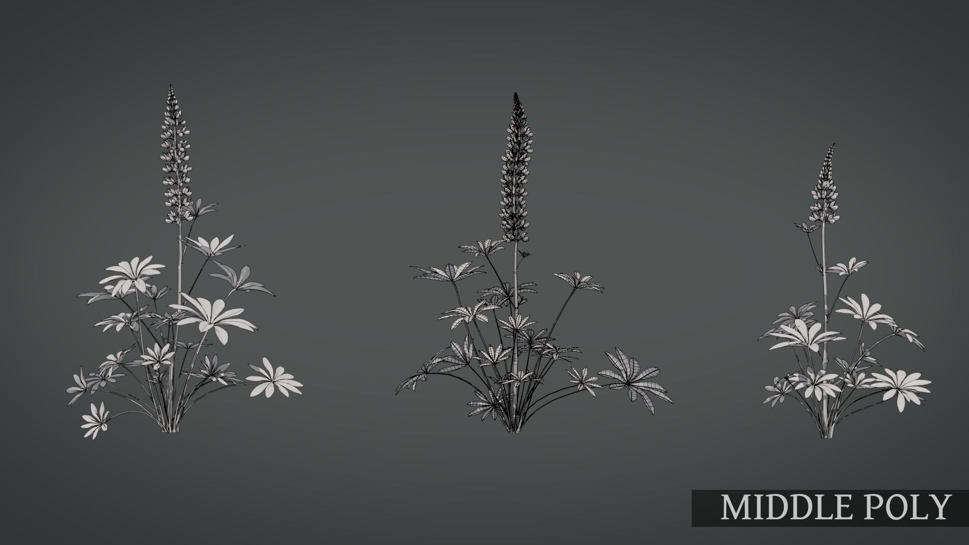 Lupine VFX Grace Low-poly 3D model_16