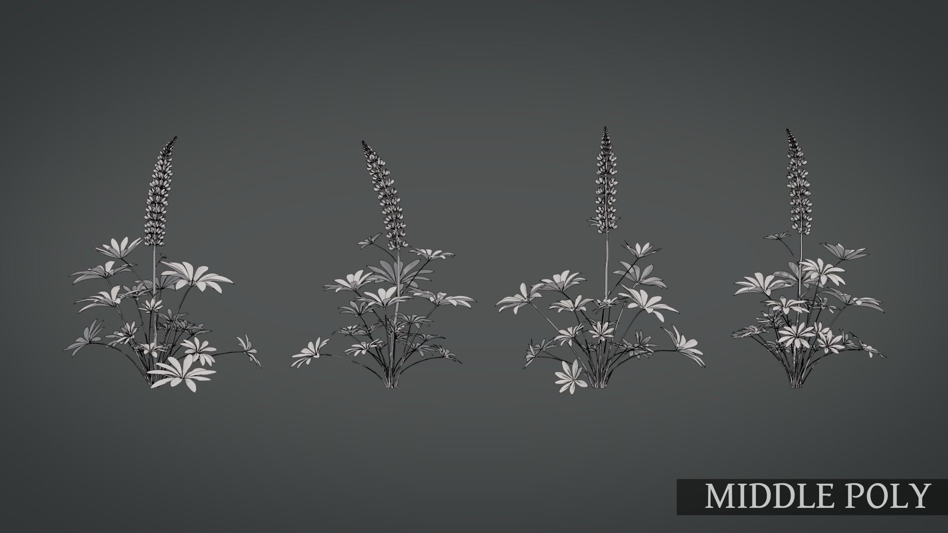 Lupine VFX Grace Low-poly 3D model_14