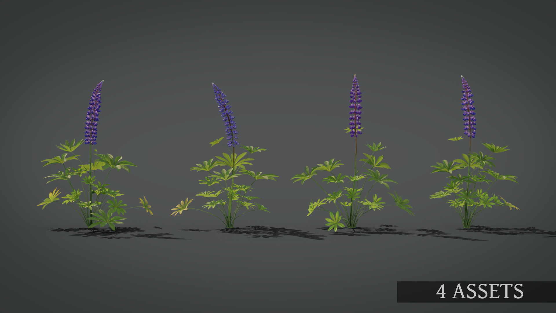 Lupine VFX Grace Low-poly 3D model_6
