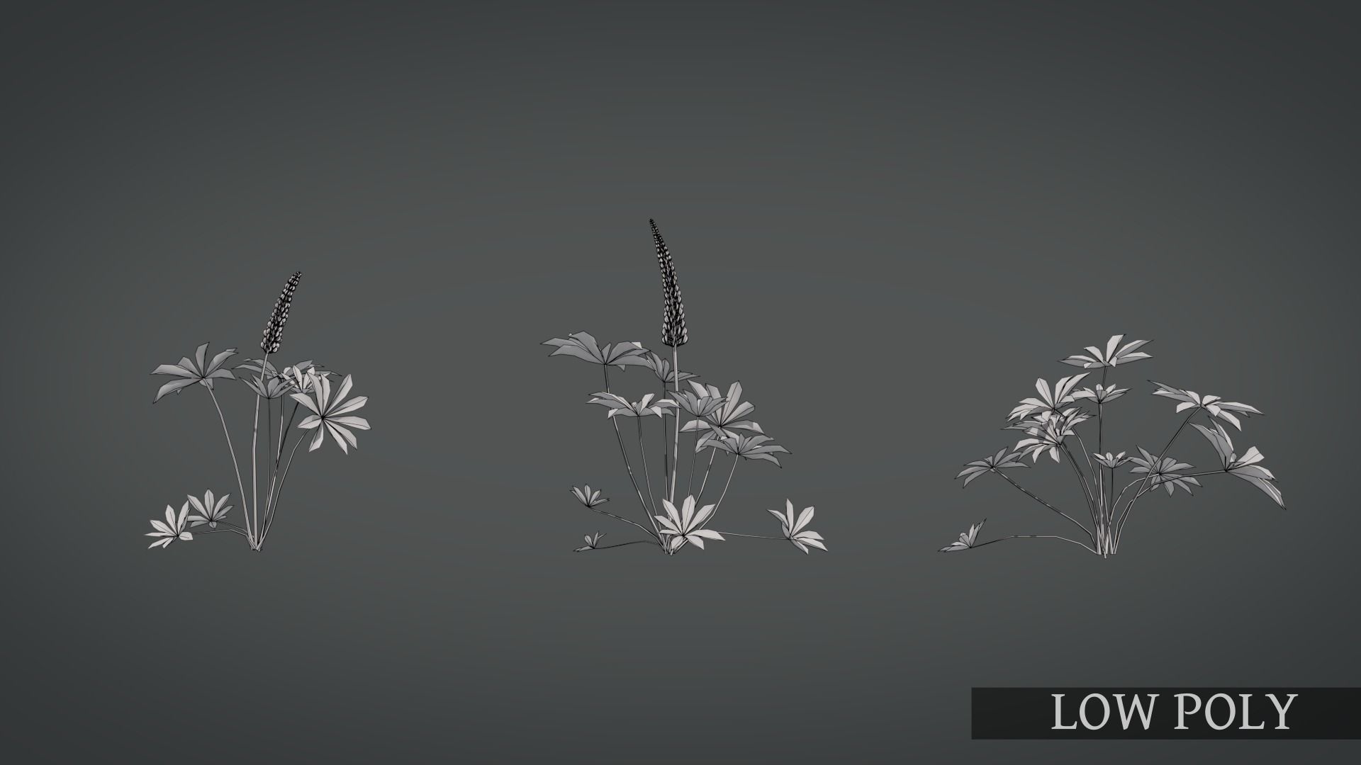 Lupine VFX Grace Low-poly 3D model_12