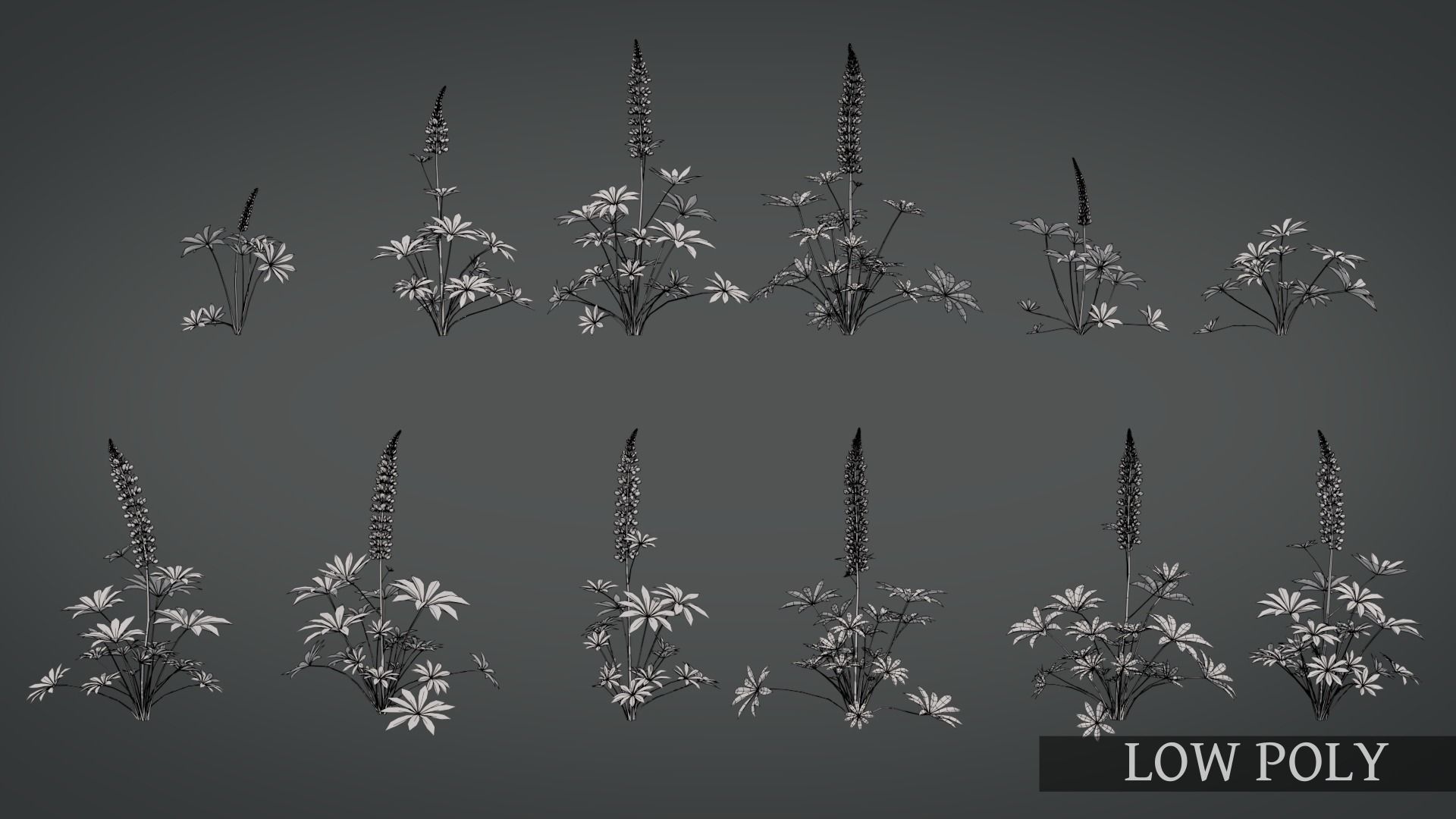 Lupine VFX Grace Low-poly 3D model_8