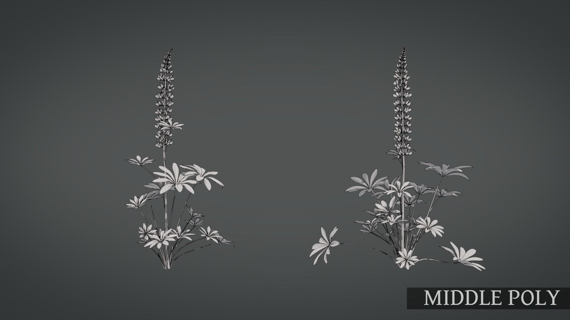 Lupine VFX Grace Low-poly 3D model_15