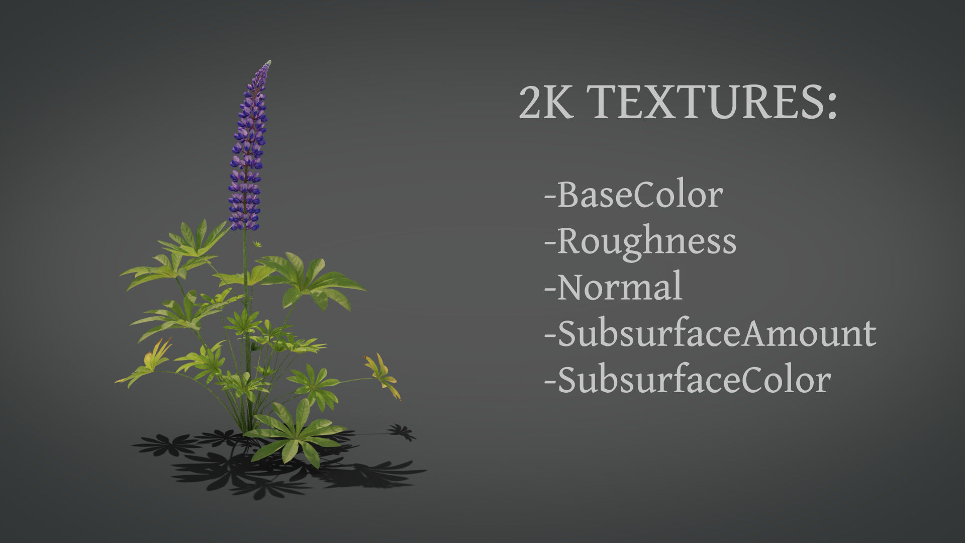 Lupine VFX Grace Low-poly 3D model_20