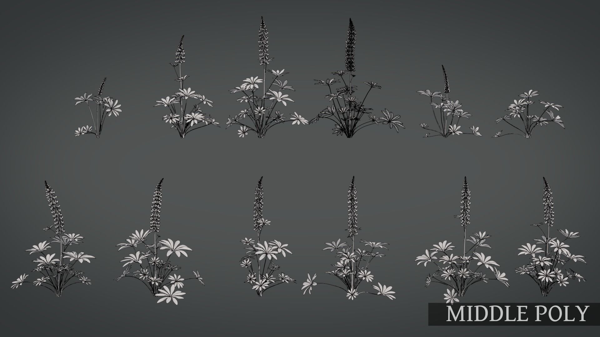 Lupine VFX Grace Low-poly 3D model_13