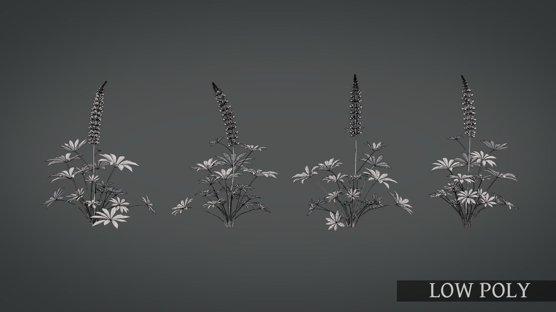 Lupine VFX Grace Low-poly 3D model_9