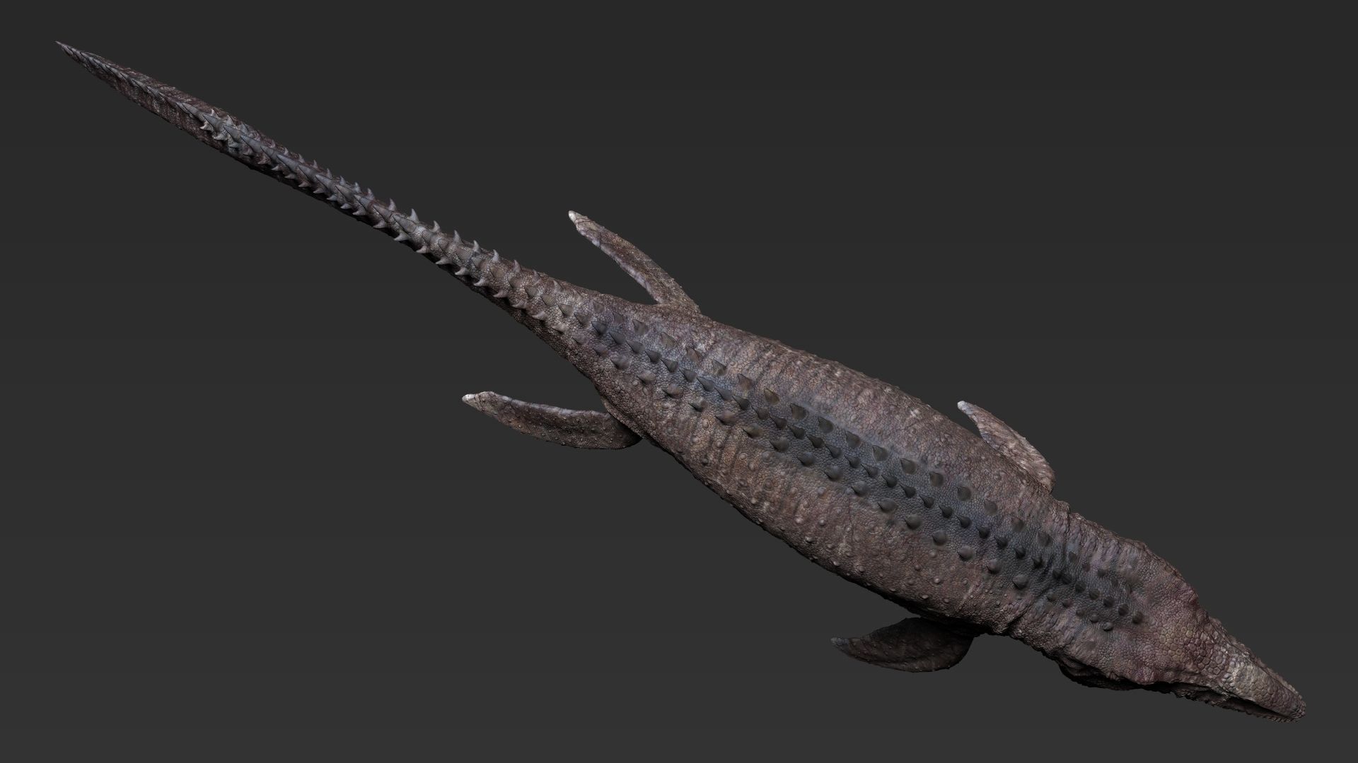 Dinosaur Mosasaurus Sculpt Project 3D model_6