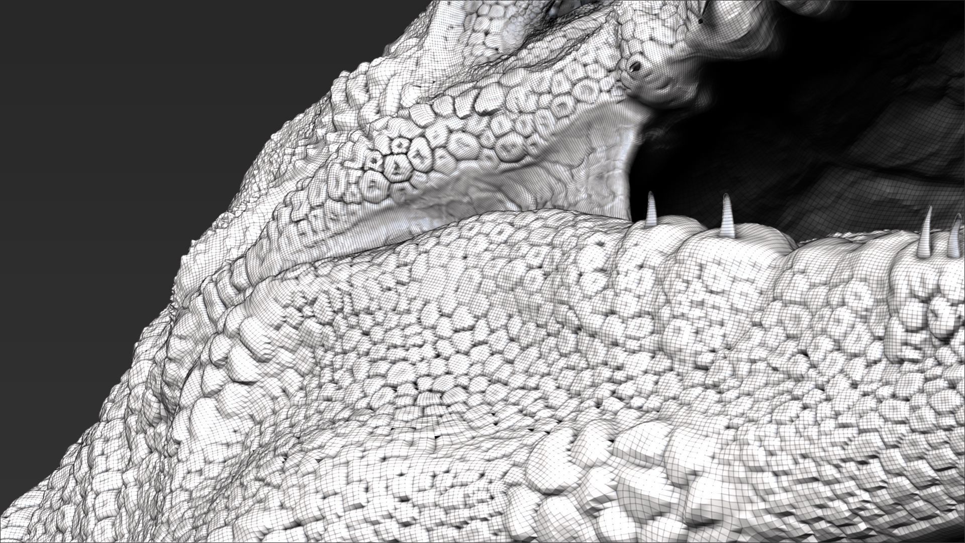 Dinosaur Mosasaurus Sculpt Project 3D model_12