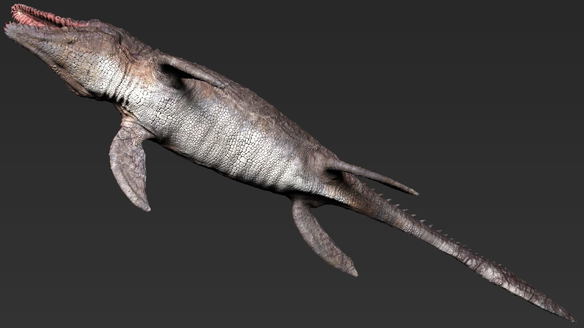 Dinosaur Mosasaurus Sculpt Project 3D model_7