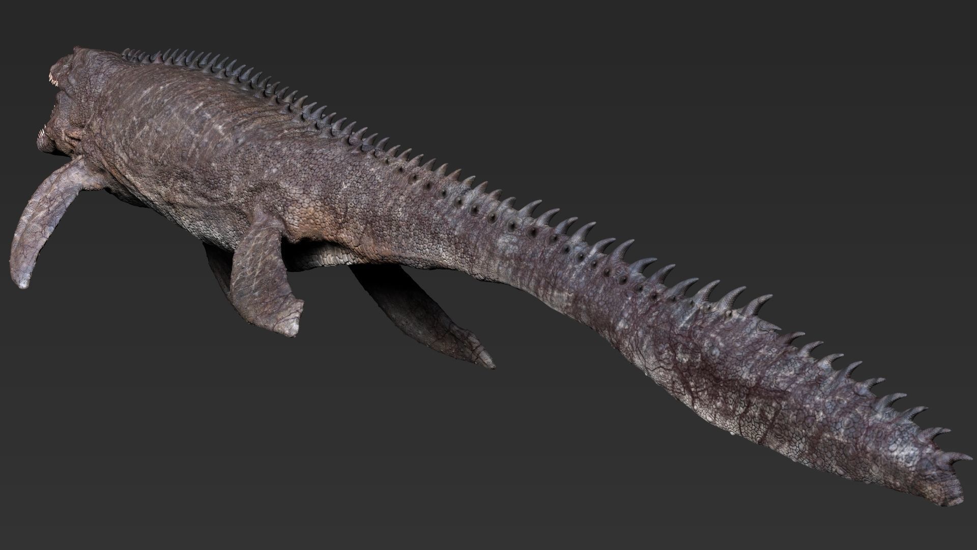 Dinosaur Mosasaurus Sculpt Project 3D model_8