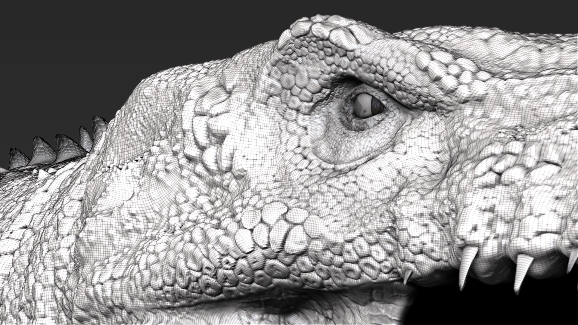 Dinosaur Mosasaurus Sculpt Project 3D model_11