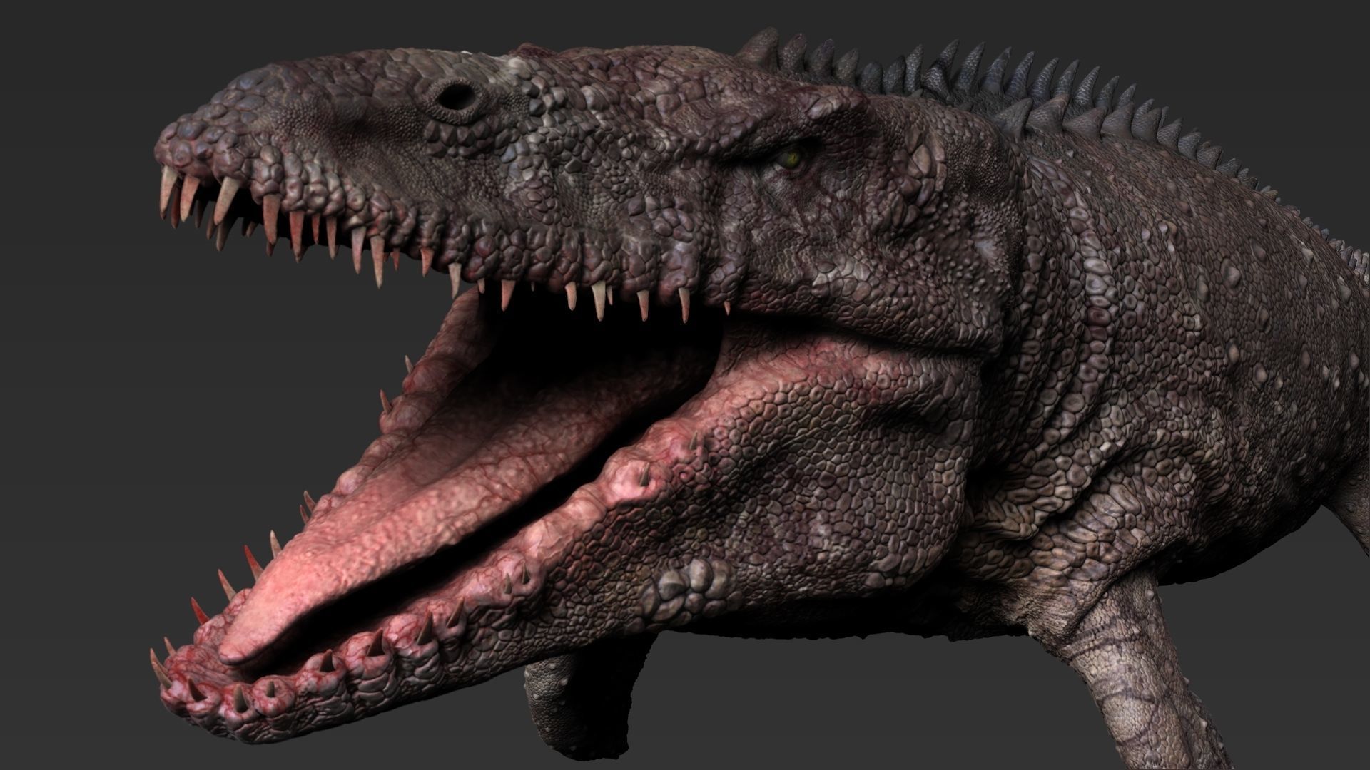 Dinosaur Mosasaurus Sculpt Project 3D model_10