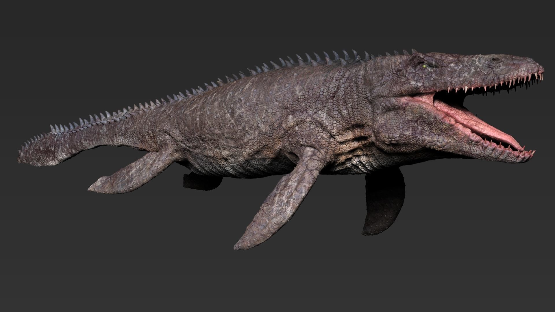Dinosaur Mosasaurus Sculpt Project 3D model_5